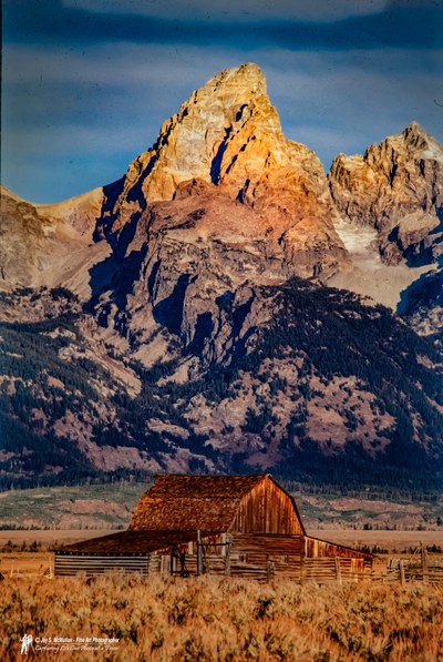 Farming · Barns · Industry