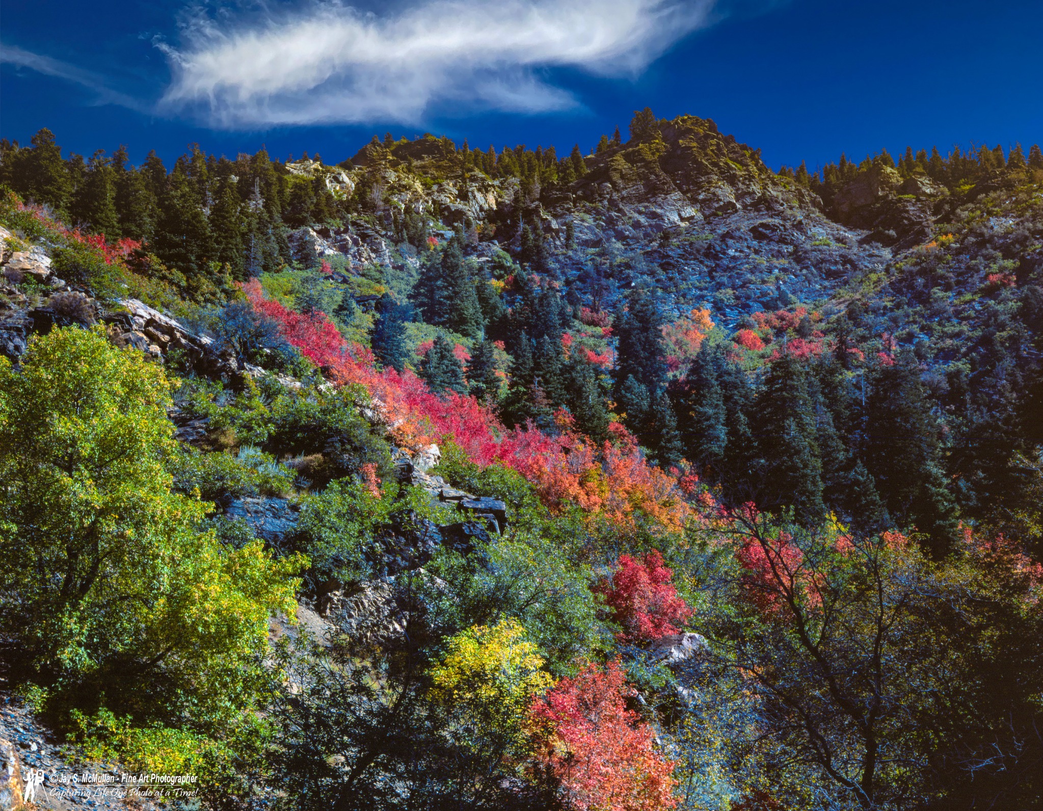 Landscapes