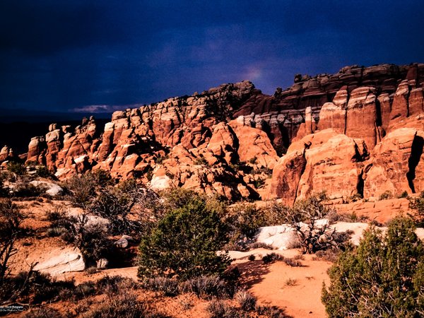 Nature